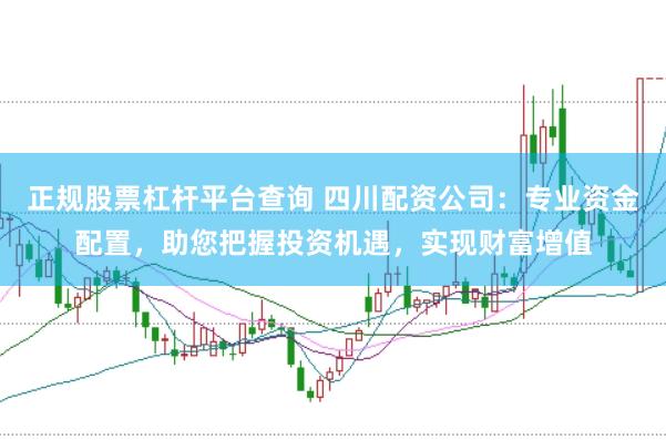 正规股票杠杆平台查询 四川配资公司：专业资金配置，助您把握投资机遇，实现财富增值