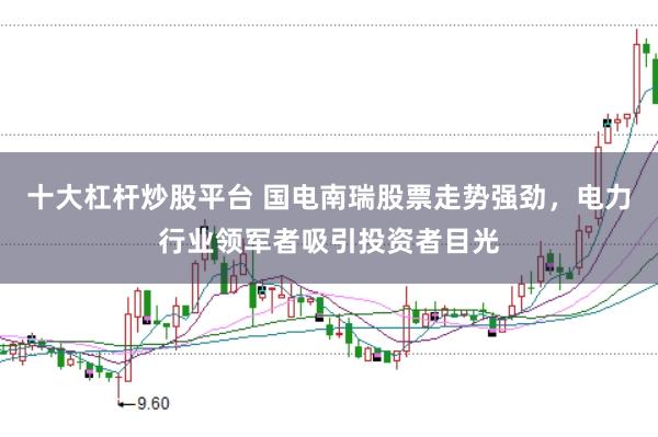 十大杠杆炒股平台 国电南瑞股票走势强劲，电力行业领军者吸引投资者目光