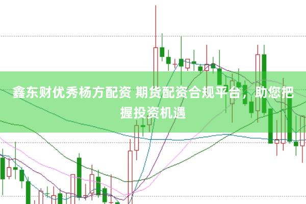 鑫东财优秀杨方配资 期货配资合规平台，助您把握投资机遇