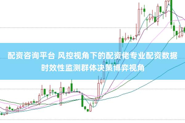 配资咨询平台 风控视角下的配资佬专业配资数据时效性监测群体决策博弈视角
