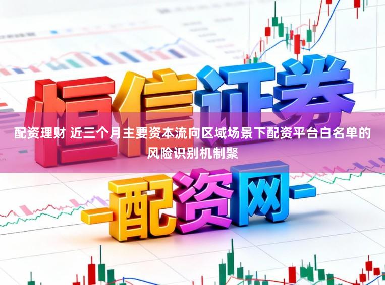 配资理财 近三个月主要资本流向区域场景下配资平台白名单的风险识别机制聚