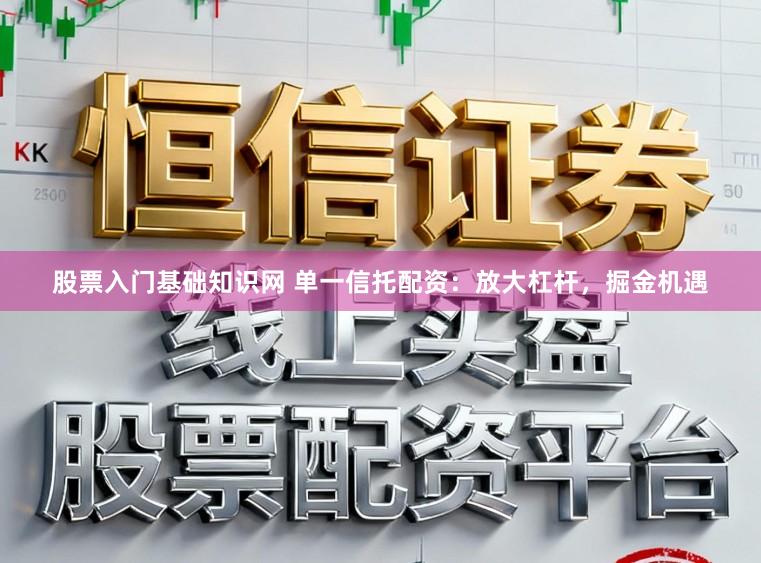 股票入门基础知识网 单一信托配资：放大杠杆，掘金机遇